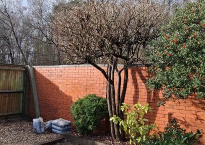 perfect garden & landscape services facebook gallery 70