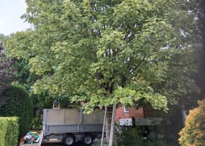 perfect garden & landscape services facebook gallery 73
